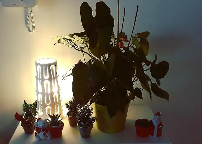 Dimora Silcla1 펜션